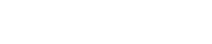 GT Electronic Services